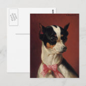 Een Speelgoed Pincher-Briefkaart Briefkaart (Voorkant / Achterkant)