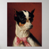 Een Speelgoed Pincher-Poster Poster (Voorkant)