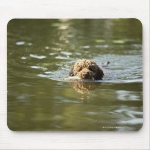 Een speelse hond koelt af in de zomerhitte. muismat
