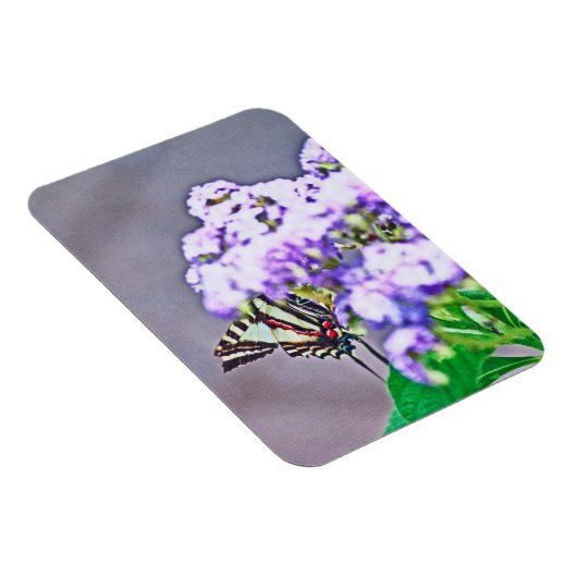 Een spelletje verbergen en zoeken magneet (Rechterzijde)