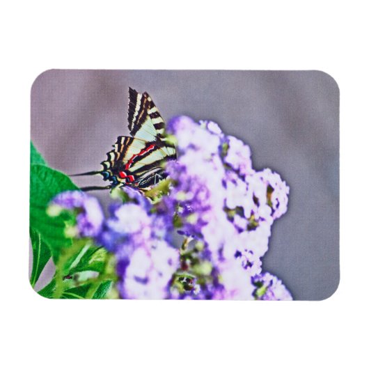 Een spelletje verbergen en zoeken magneet (Horizontaal)