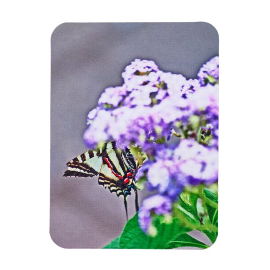 Een spelletje verbergen en zoeken magneet (Verticaal)