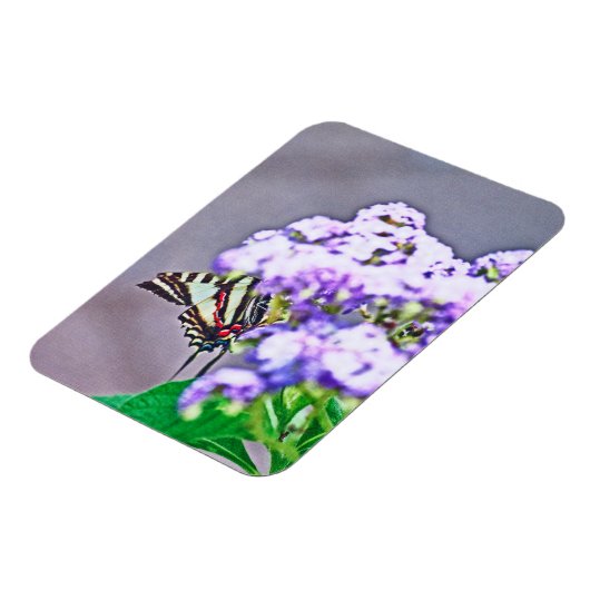 Een spelletje verbergen en zoeken magneet (Linkerzijde)