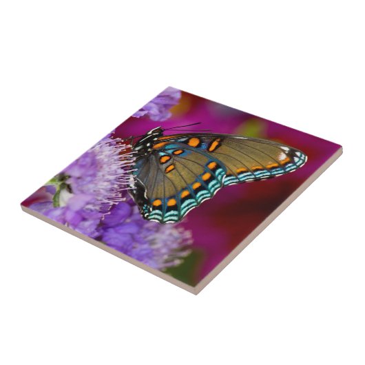 Een Spicebush Swallowtail Butterfly Tegeltje (Zijkant)