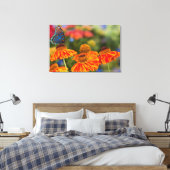 Een Spicebush Swallowtail, Papilio troilus Canvas Afdruk (Insitu (Slaapkamer))