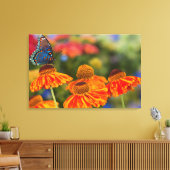 Een Spicebush Swallowtail, Papilio troilus Canvas Afdruk (Insitu (Woonkamer))