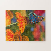 Een Spicebush Swallowtail, Papilio troilus Legpuzzel (Horizontaal)