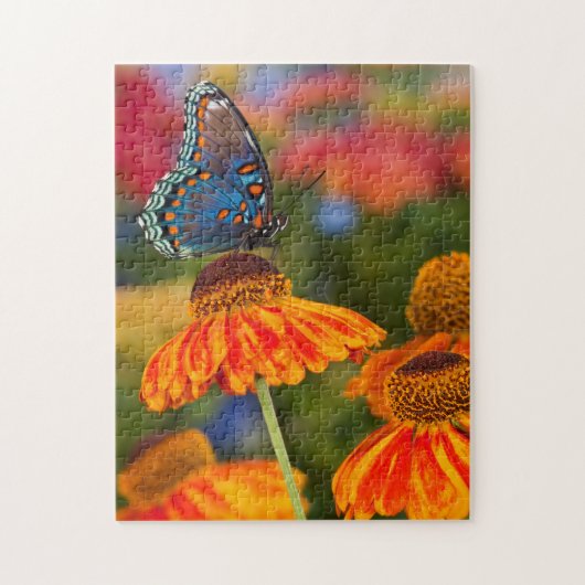 Een Spicebush Swallowtail, Papilio troilus Legpuzzel (Verticaal)