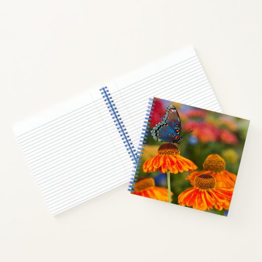 Een Spicebush Swallowtail, Papilio troilus Notitieboek (Binnen)
