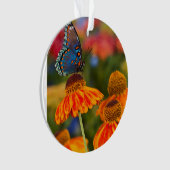 Een Spicebush Swallowtail, Papilio troilus Ornament (voorkant)