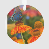 Een Spicebush Swallowtail, Papilio troilus Ornament (achterkant)