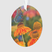 Een Spicebush Swallowtail, Papilio troilus Ornament (voorkant)