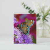 Een Spicebush Swallowtail Vlinder Briefkaart (Staand voorkant)