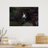 Een Spiders Web Poster (Keuken)