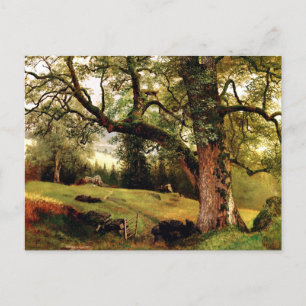 Een spoor door de bomen van Albert Bierstadt Briefkaart