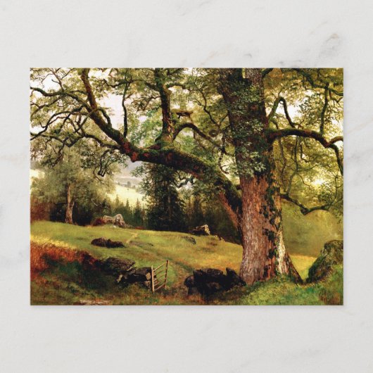 Een spoor door de bomen van Albert Bierstadt Briefkaart (Voorkant)