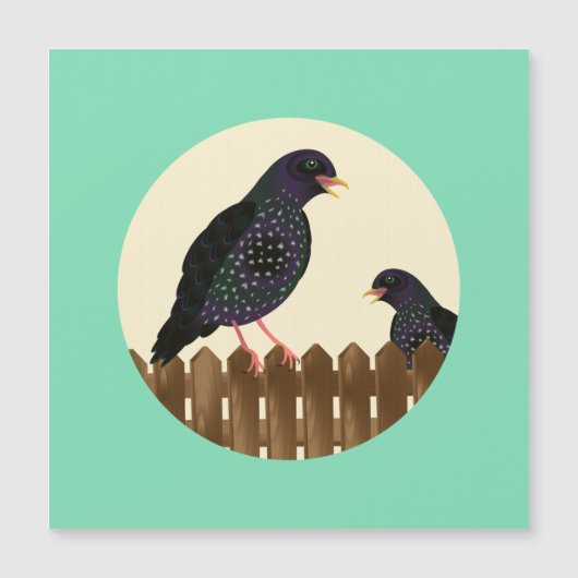 Een spreeuw, een gewone tuinvogel, zat op een hek (Voorkant)