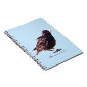 Een spreeuw notitieboek (Rechterzijde)