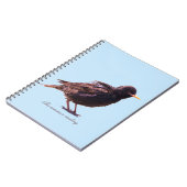 Een spreeuw notitieboek (Linkerzijde)
