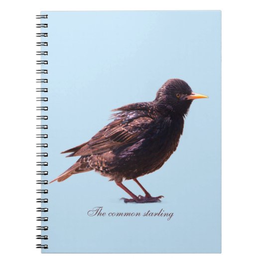 Een spreeuw notitieboek (Voorkant)