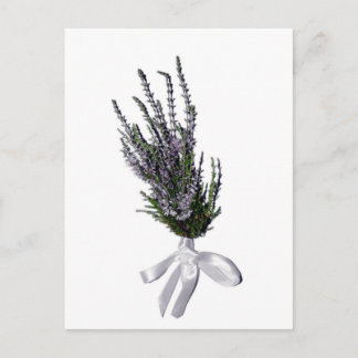 Een Sprig Heather uit Schotland Briefkaart
