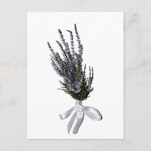 Een Sprig Heather uit Schotland Briefkaart (Voorkant)