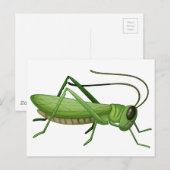 Een sprinkhaan briefkaart (Voorkant / Achterkant)