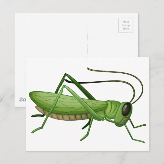 Een sprinkhaan briefkaart (Voorkant / Achterkant)