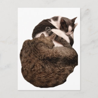 Een staart van twee briefkaart