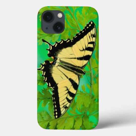 Een staartvlinder landend Case-Mate iPhone case (Achterkant)