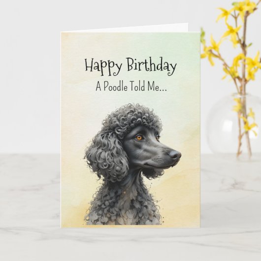 Een standaard poedel persoonlijkheid verjaardag le kaart (Gele Bloem)