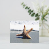 Eén Starfish gewassen Ashore Briefkaart (Staand voorkant)