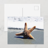 Eén Starfish gewassen Ashore Briefkaart (Voorkant / Achterkant)
