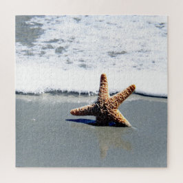 Eén Starfish gewassen Ashore Legpuzzel