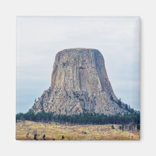 Een startpunt van een Beer Magneet