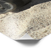 Een statische vertoning van een omgezette ordnance foto afdruk (Hoek)