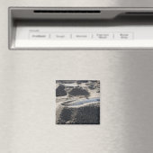 Een statische vertoning van een ordnance shell magneet (Insitu (Vaatwasser))