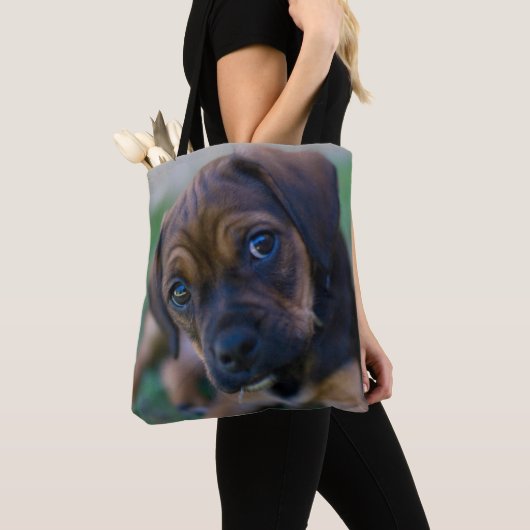 Een stekelstaartenpuppy (Puggle) Tote Bag (Dichtbij)
