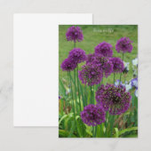 Een stel Alliums- Notitiekaartje (Voorkant / Achterkant)