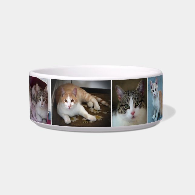 Een Stel Kittens Voerbakje (Voorkant)