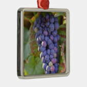 Een stel Pinot Noir druiven in een Chambertin Metalen Ornament (Rechts)