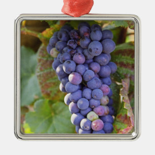 Een stel Pinot Noir druiven in een Chambertin Metalen Ornament