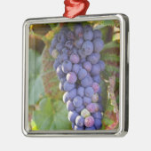 Een stel Pinot Noir druiven in een Chambertin Metalen Ornament (Links)