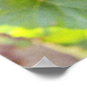 Een stel Pinot Noir druiven in een Chambertin Poster (Hoek)