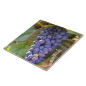 Een stel Pinot Noir druiven in een Chambertin Tegeltje (Zijkant)