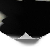 ÉÉN STEM SPEECH POSTER CNCRT (Hoek)