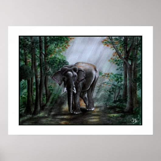 Een stem voor de wilde natuur poster (Voorkant)