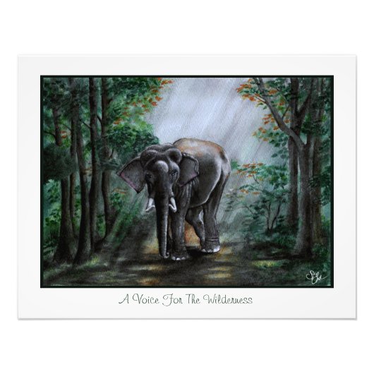 Een Stem Voor De Wildernis Foto Afdruk (Voorkant)