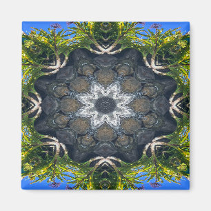 Een ster in de vijver.... magneet