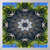 Een ster in de vijver.... poster (Voorkant)